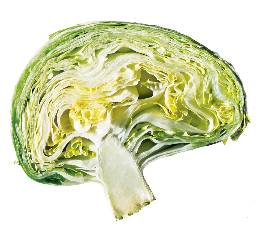 EDI brain cabbage